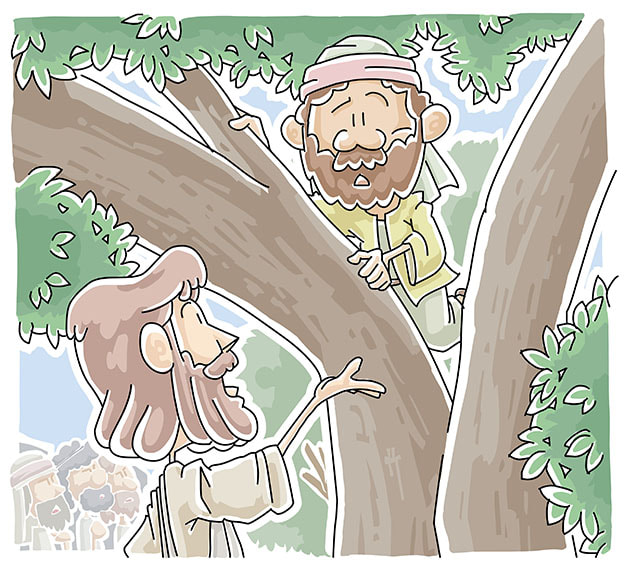 Zacchaeus & the Sycamore Tree