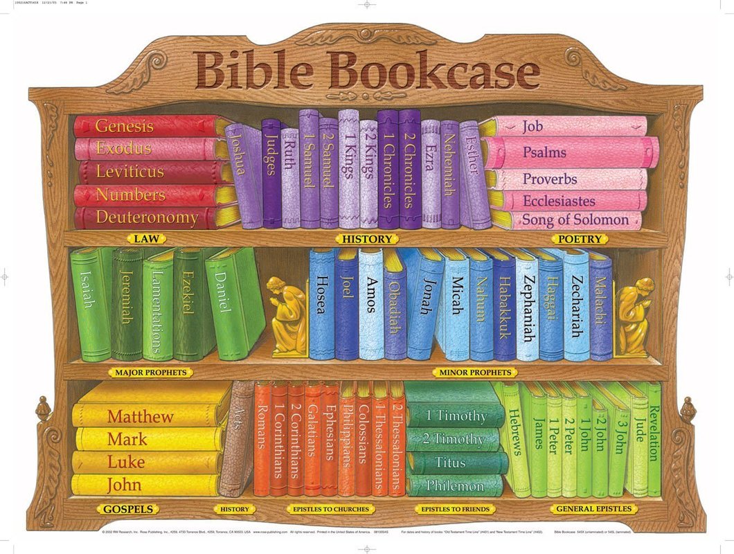 Bible bookcase